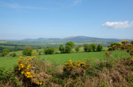 Le Wicklow way, the end