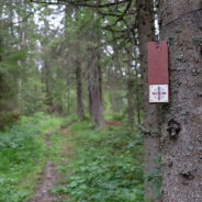 Chemin de saint Olav