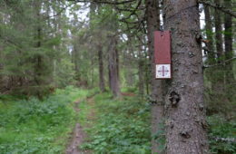 Chemin de saint Olav