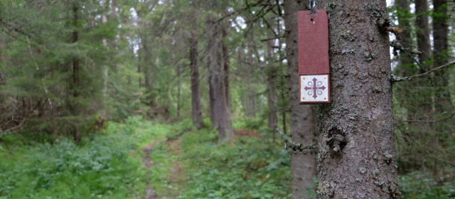 Chemin de saint Olav